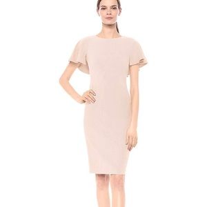 Calvin Klein Pale Pink (Blossom) form fitted dress